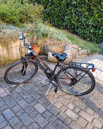 Bicicletta Bottecchia Lite Cross