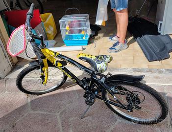 Bici da 20''