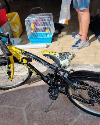 Bici da 20''