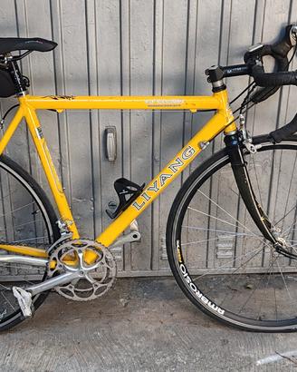 Bicicletta da corsa 