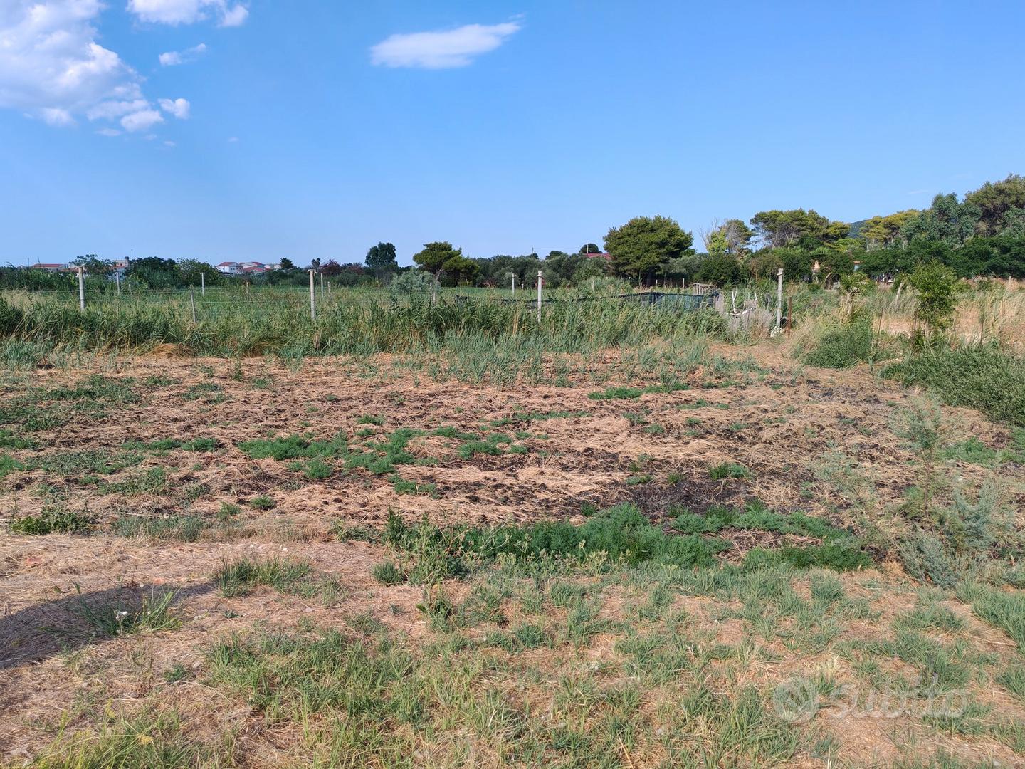 Terreno rustico - Vista 5