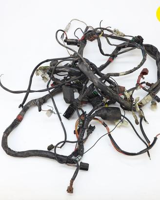 Impianto Elettrico con ABS APRILIA Caponord 1000