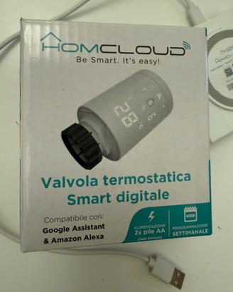 Valvola termostatica + centralina zigbee