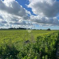 TER. AGRICOLO A BRINDISI