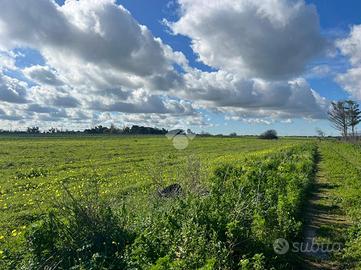 TER. AGRICOLO A BRINDISI