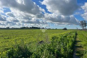 TER. AGRICOLO A BRINDISI