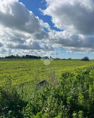 TER. AGRICOLO A BRINDISI
