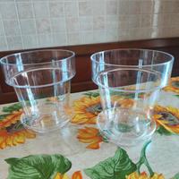 Vasi trasparenti in plastica per orchidea