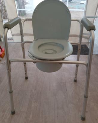 sedia bagno invalidi