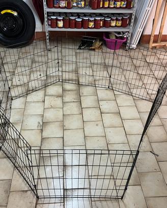Recinto modulare per cani o animali