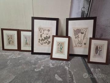 Set 6 Quadri Botanici Vintage  