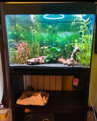 Acquario 130 lt Askoll XL pure HC  con mobile 