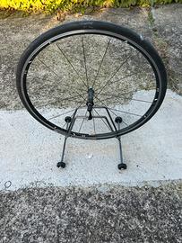 Ruota bicicletta