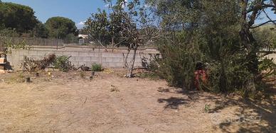 Zona panoramica
