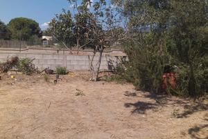 Zona panoramica