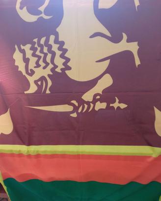 BANDIERA SRI LANKA - CM 90 X 136