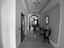 Immagine 14