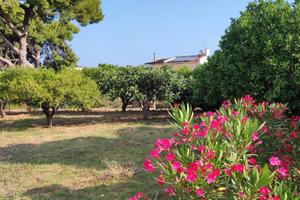 Lotto di terreno con progetto approvato