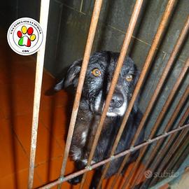 ZARY piccolo e tanto dolce