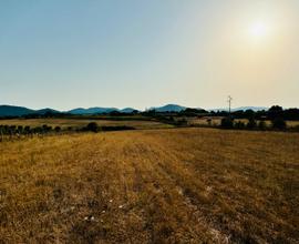 Terreno Agricolo in Bracciano