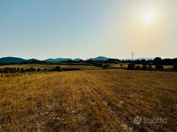 Terreno Agricolo in Bracciano