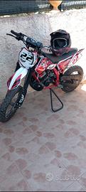 Pit Bike 50cc competizione