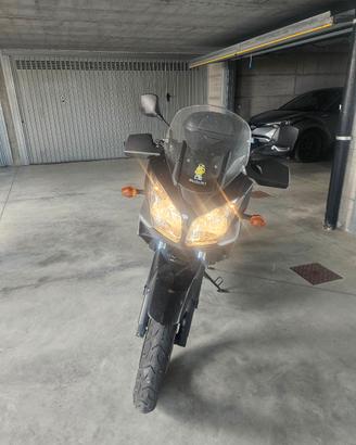 Suzuki v-strom 650dl anno 2007