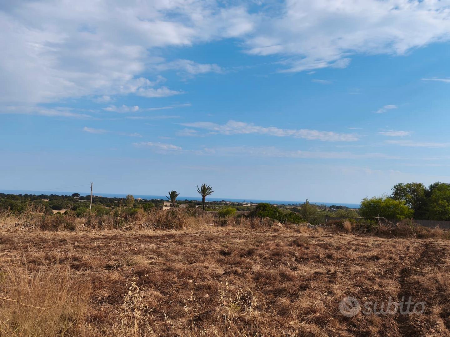 Terreno agricolo - Vista 5