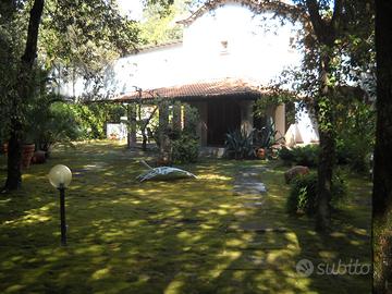 Bella casa a marina di torre del lago