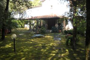 Bella casa a marina di torre del lago