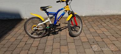 Mountain bike Cup's ragazzi