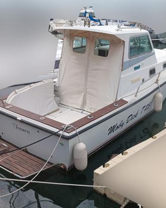 TUCCOLI T 25 MOBY DICK + 2x130hp VOLVO PENTA