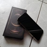 iphone 12 pro max, 256 gb