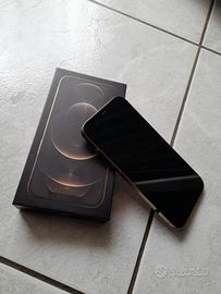 iphone 12 pro max, 256 gb