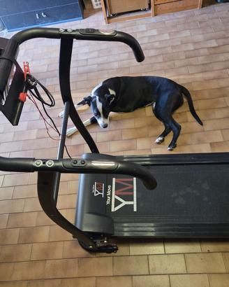 tapis roulant 