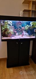 Acquario Juwel Rio 125 ( due acquari completi )
