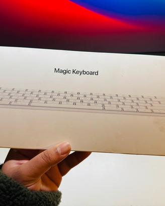 Apple Magic Keyboard USB Type C Come nuovo