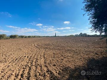 Piccola Azienda Agricola rif.0989