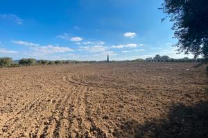 Piccola Azienda Agricola rif.0989
