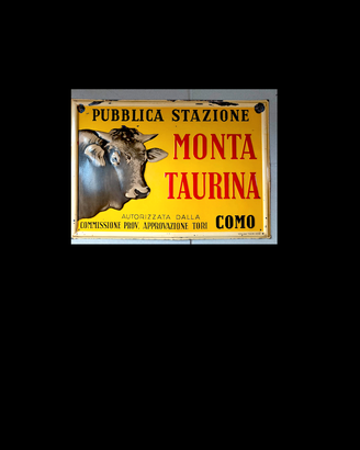 MONTA targa tabella insegna ORIGINALE epoca 1952