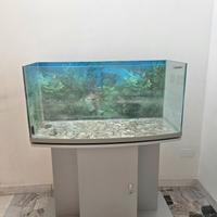 acquario con mobile 