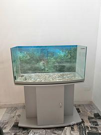 acquario con mobile 