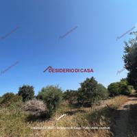 Terreno, Ciaculli - Croce Verde, Palermo.