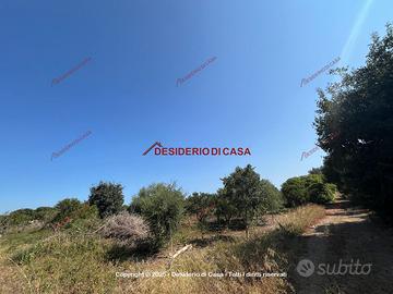 Terreno, Ciaculli - Croce Verde, Palermo.