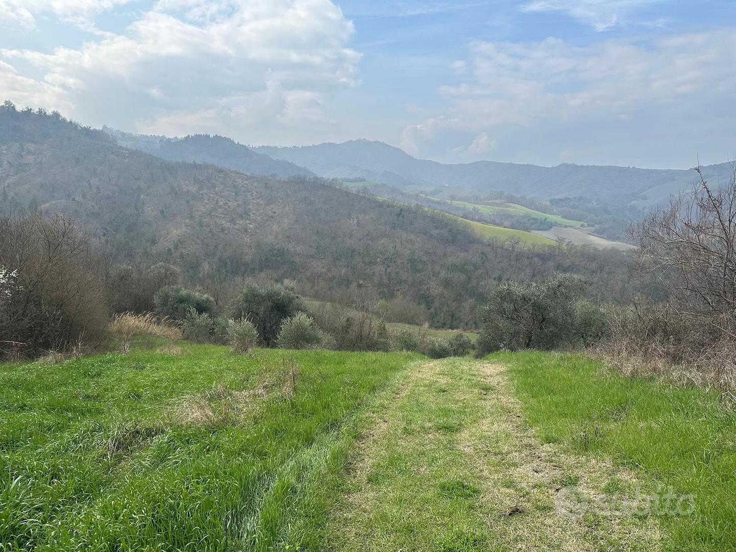 Terreno e casa indipendente a Sogliano - Vista 5