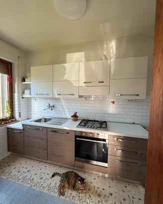 Cucina Lineare di Arredamento