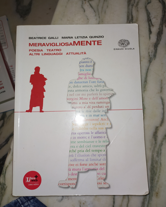 Meravigliosamente