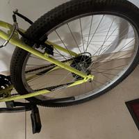 Bici ragazzo o adulto