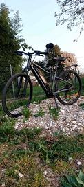 bici elettrica