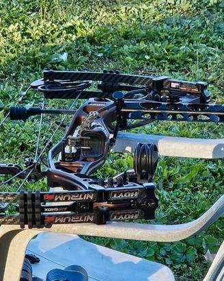  arco compound Hoyt nitrum 30 